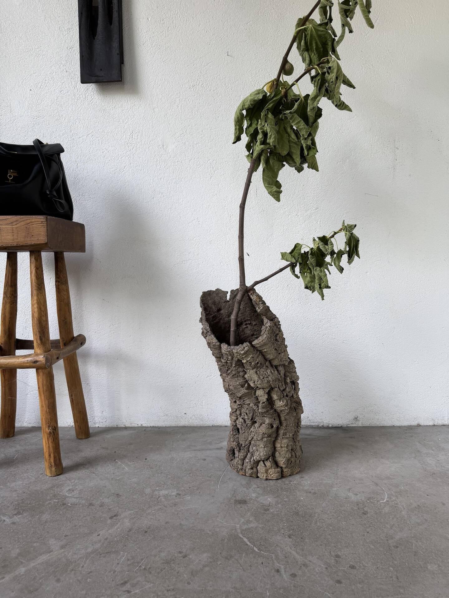 XL cork bark vase