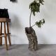 XL cork bark vase