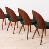 Set of 10 Mid Century Dining Chairs by A. Šuman, Reupholstery Options