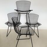 Suite of four chairs From Harry Bertoia for Knoll 70s