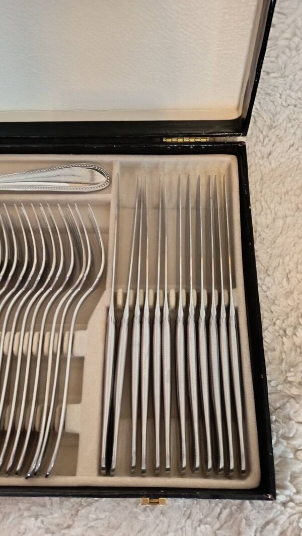 Ménagère Guy degrenne, 49 pièces