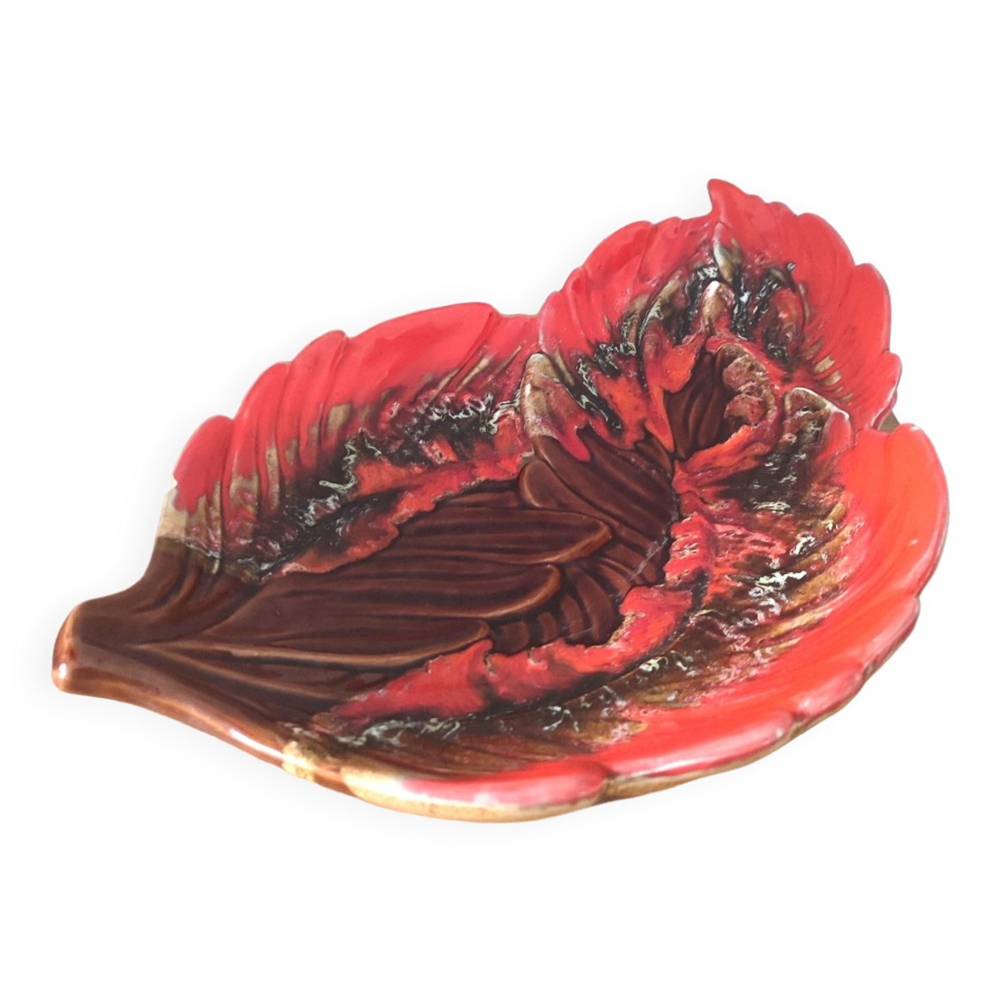 Dish leaves Vallauris