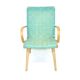 Fauteuil en hêtre, Suède, 1970