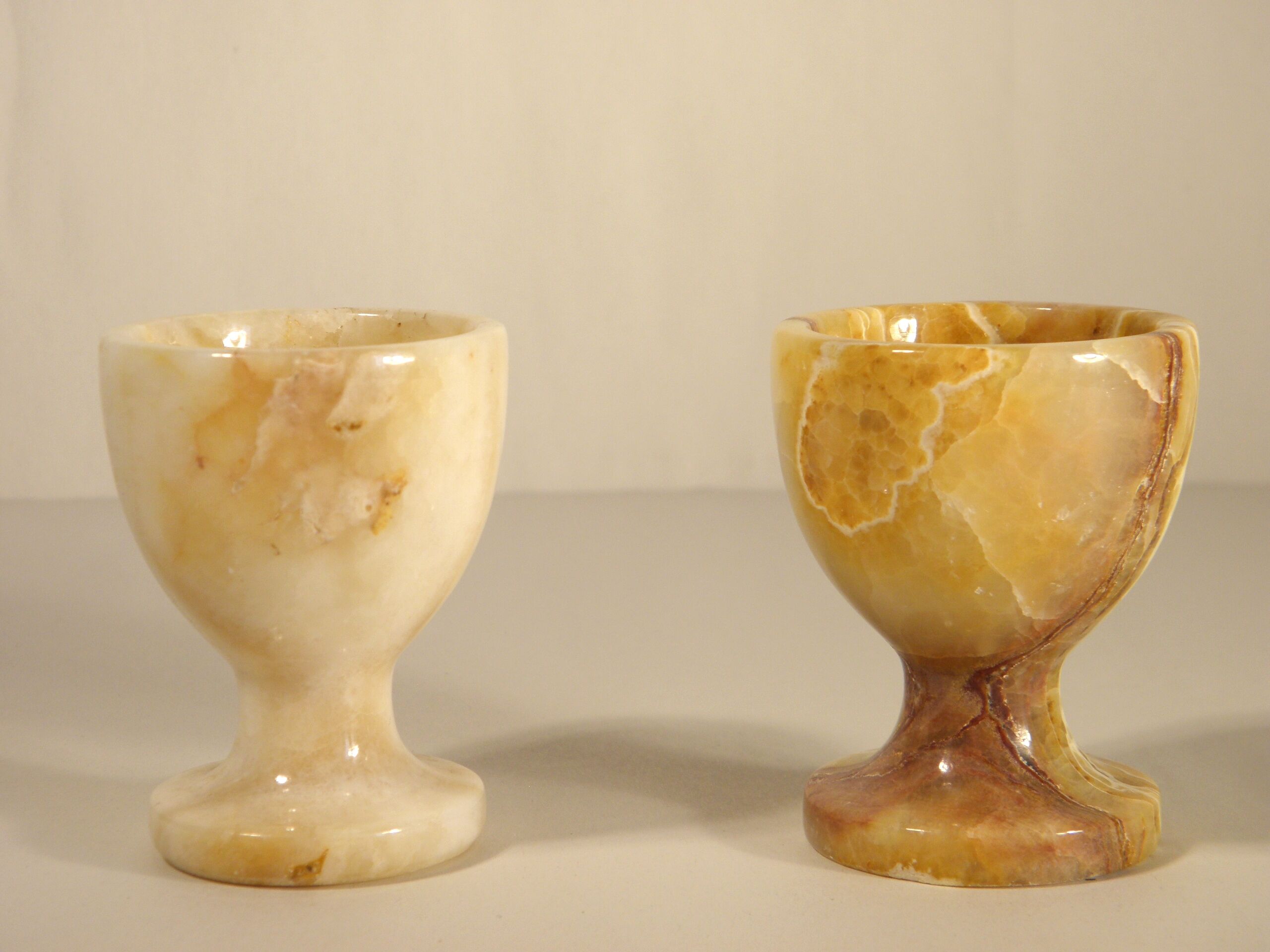 Two onyx cockroaches