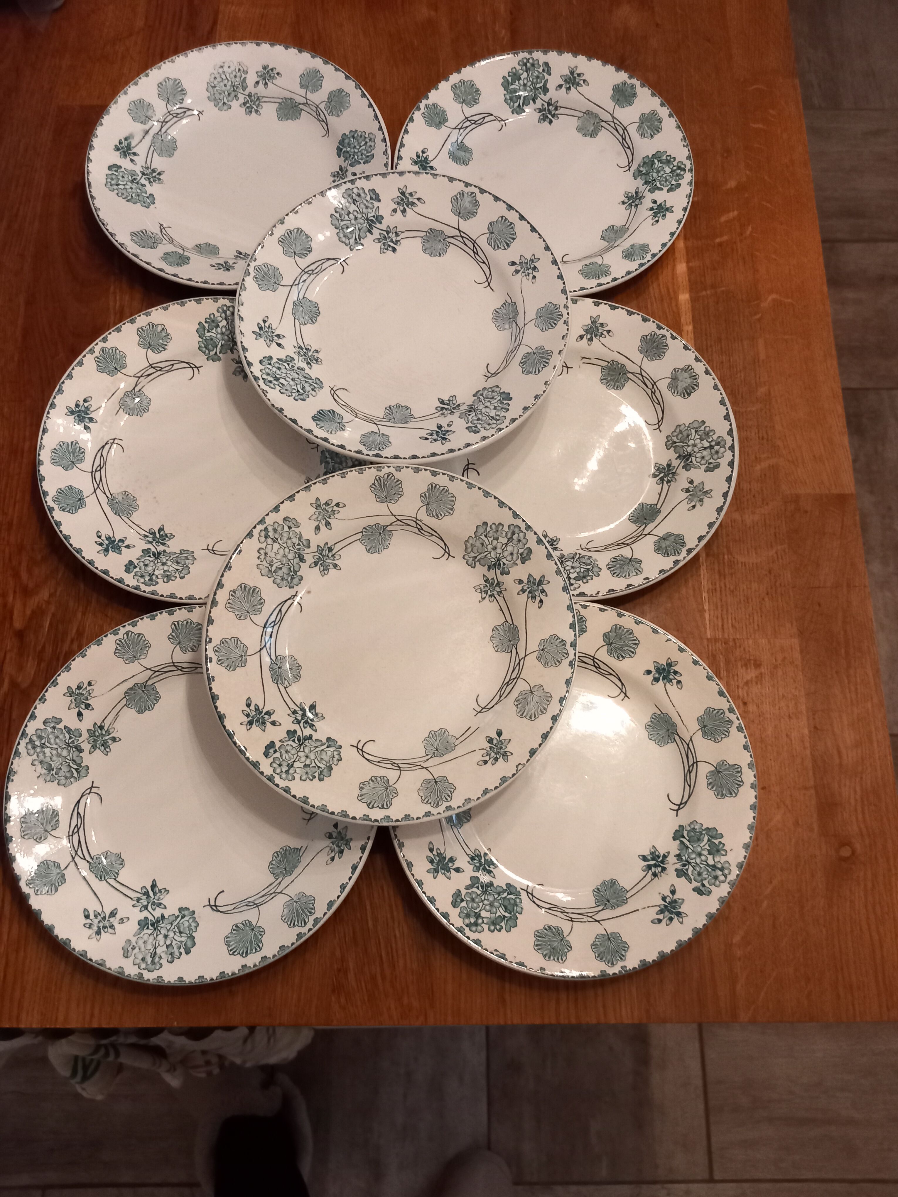 8 plates "flat" iron earth. Geranium.sarreguemine