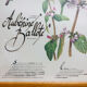 Cadre herbier de pharmacie
