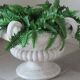 Paolo Marioni coupe / table foot / decoration / container with silk ferns
