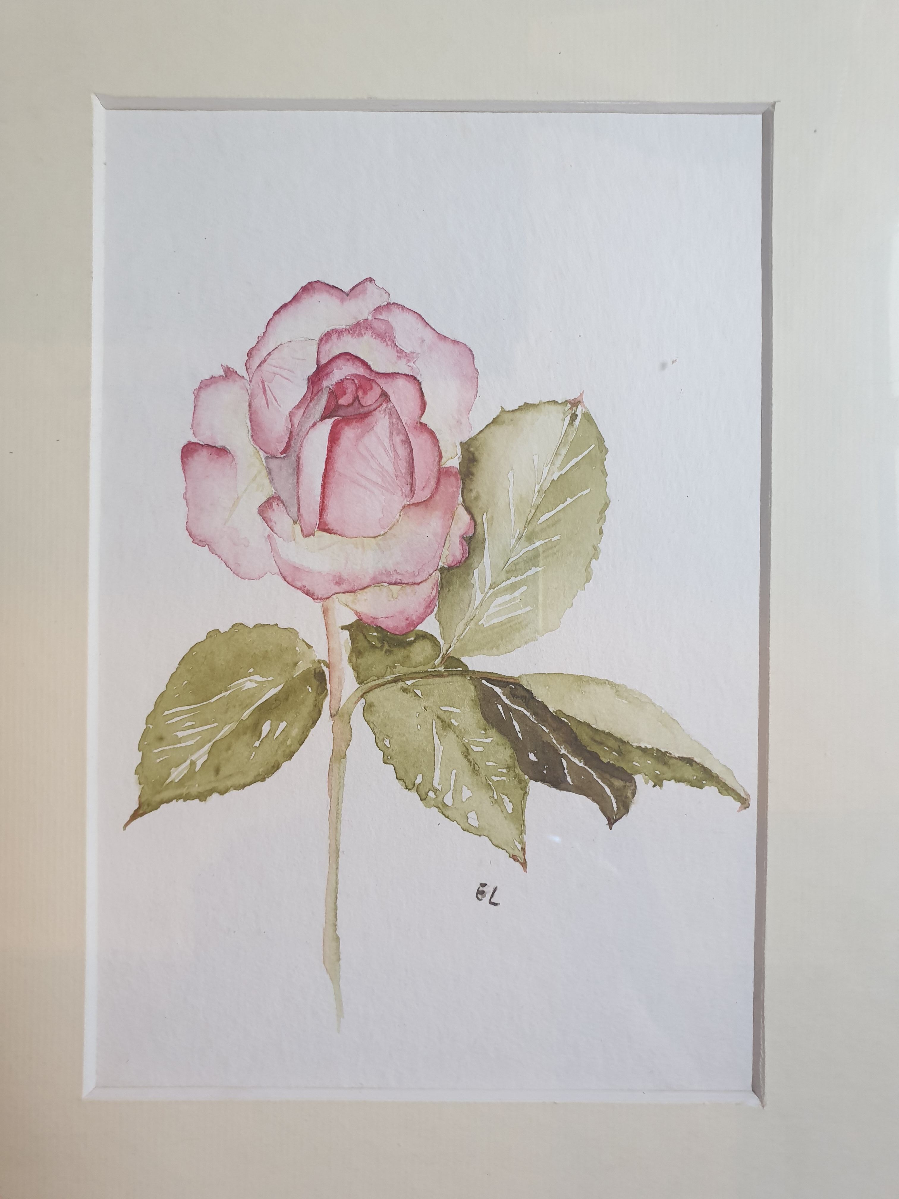 Fleur en aquarelle