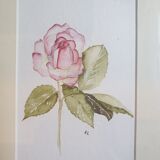 Flower in watercolor