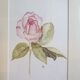 Fleur en aquarelle