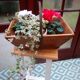 Wooden harvest basket