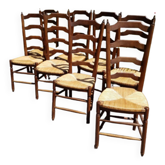 Suite de 8 chaises