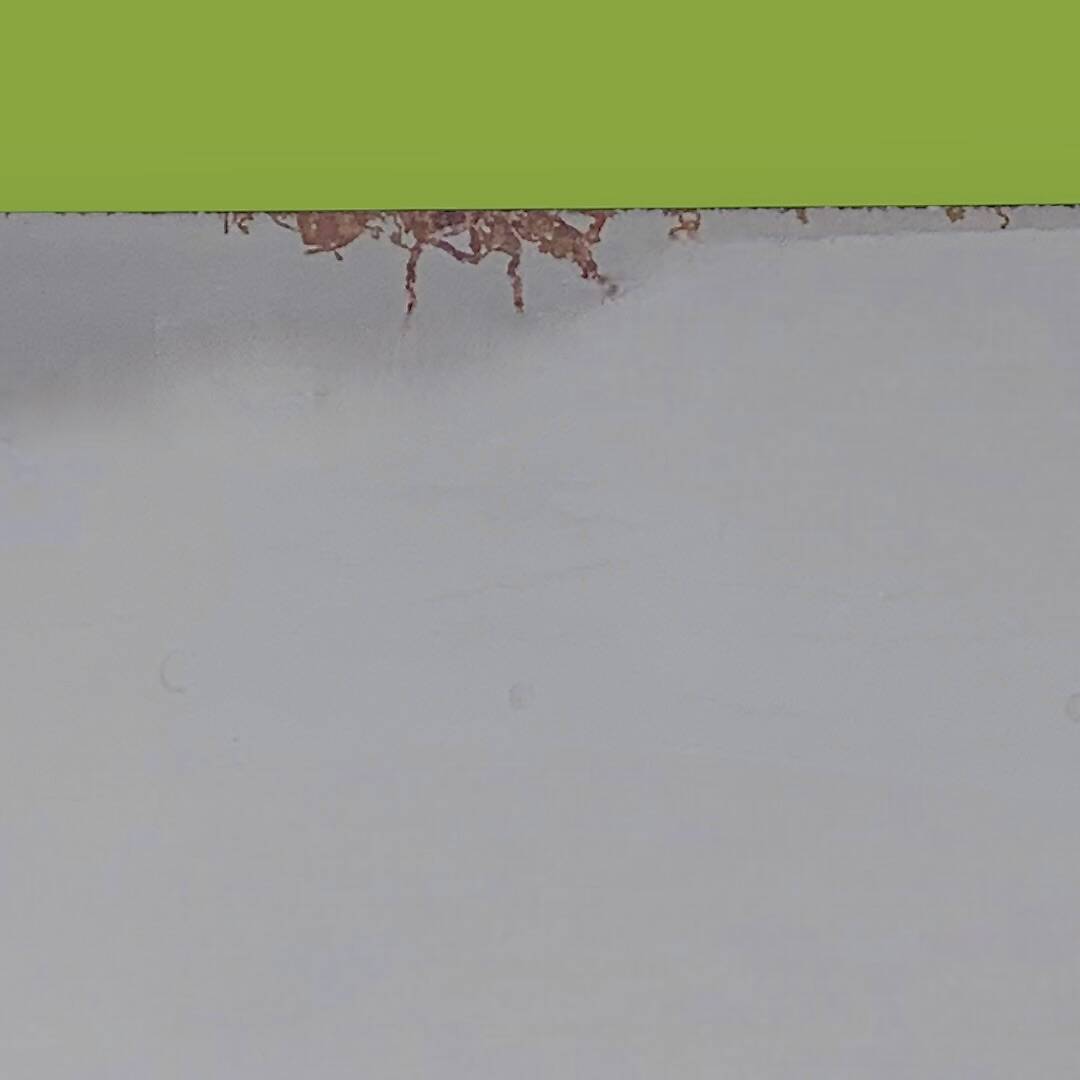 Vintage magazine rack in painted metal and wooden balls - minimalist design