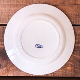 Set of 5 plates iron earth Salins