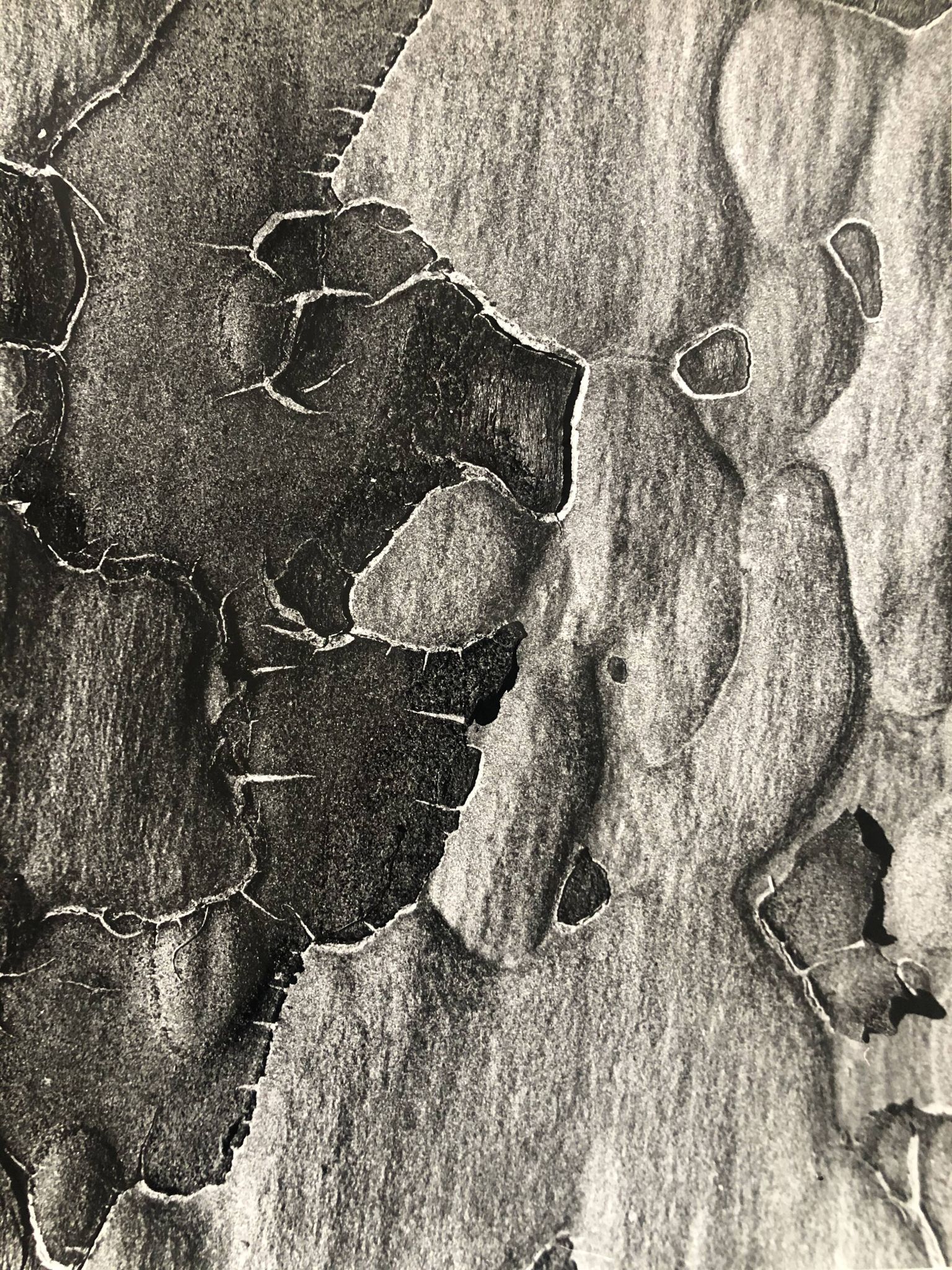 Photographie noir et blanc argentique