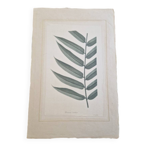 Dessin à l'aquarelle - soie