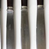 10 bakelite handle knives