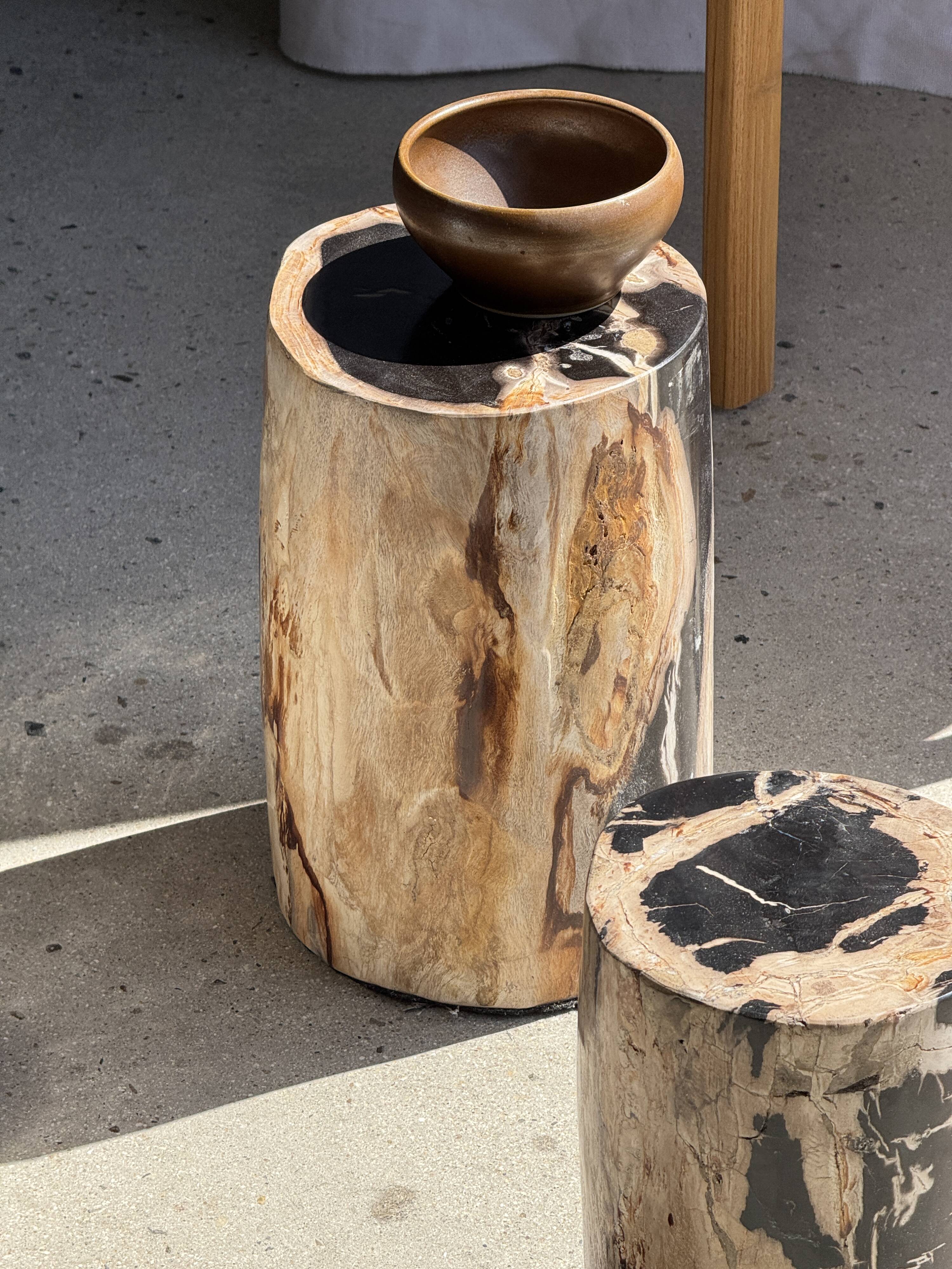 Petite table d'appoint en bois pétrifié cœur noir écorce stries noires et b