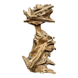 Brutalist art: large sculpture made from a teak root around 1970