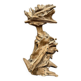 Brutalist art: large sculpture made from a teak root around 1970