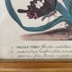 Vintage botanical poster