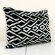 Coussin Ikat velours
