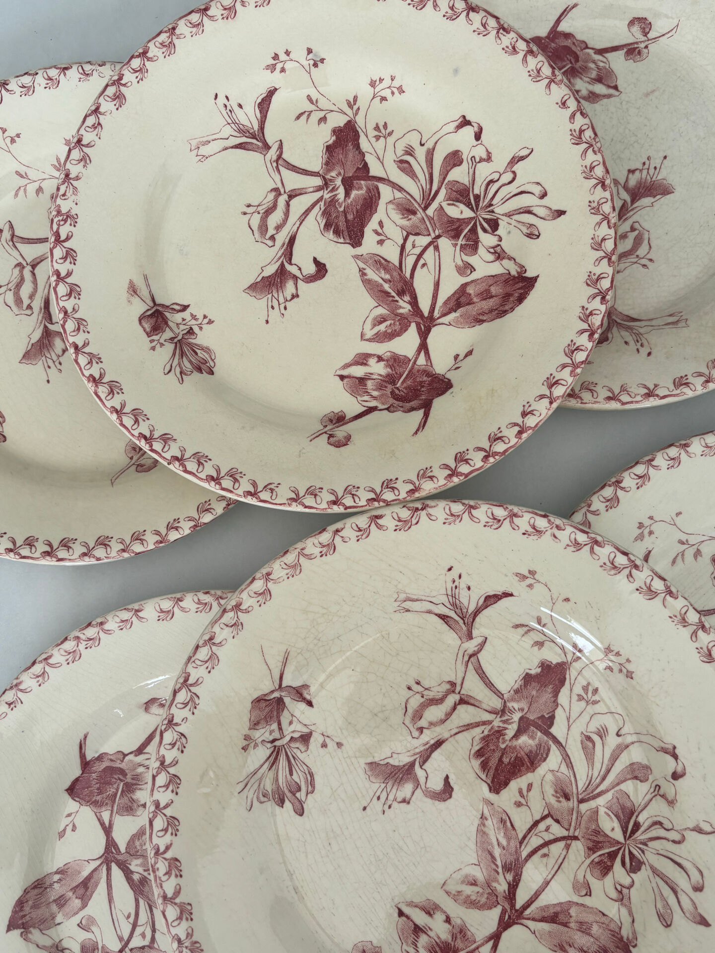 Set of six plates, ironstone, red, Gien, honeysuckle, earthenware.