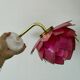 Vintage pink mother-of-pearl angled wall lamp