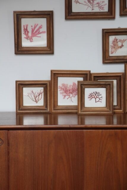 True alguier in walnut frame France 1960