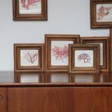 True alguier in walnut frame France 1960