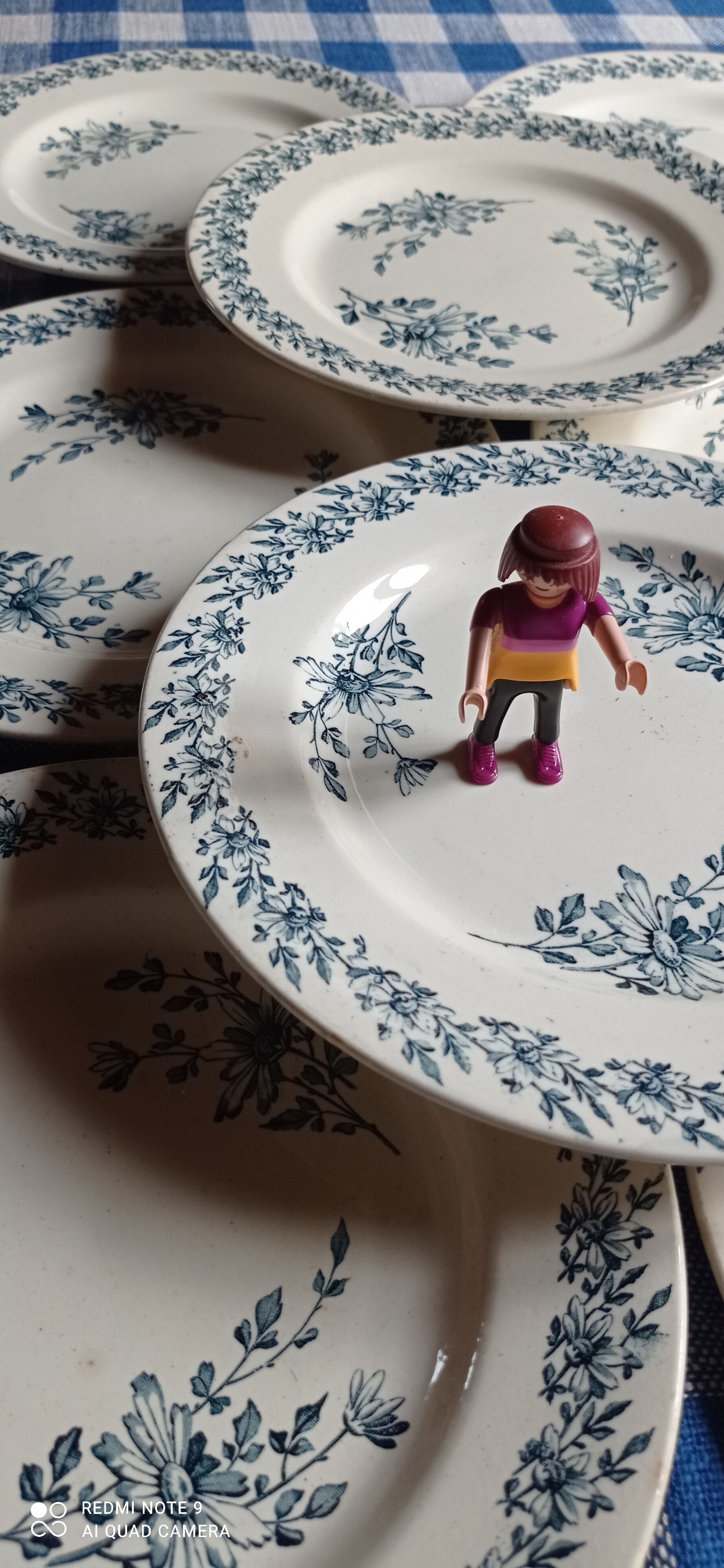 Set of eight plates earth of iron