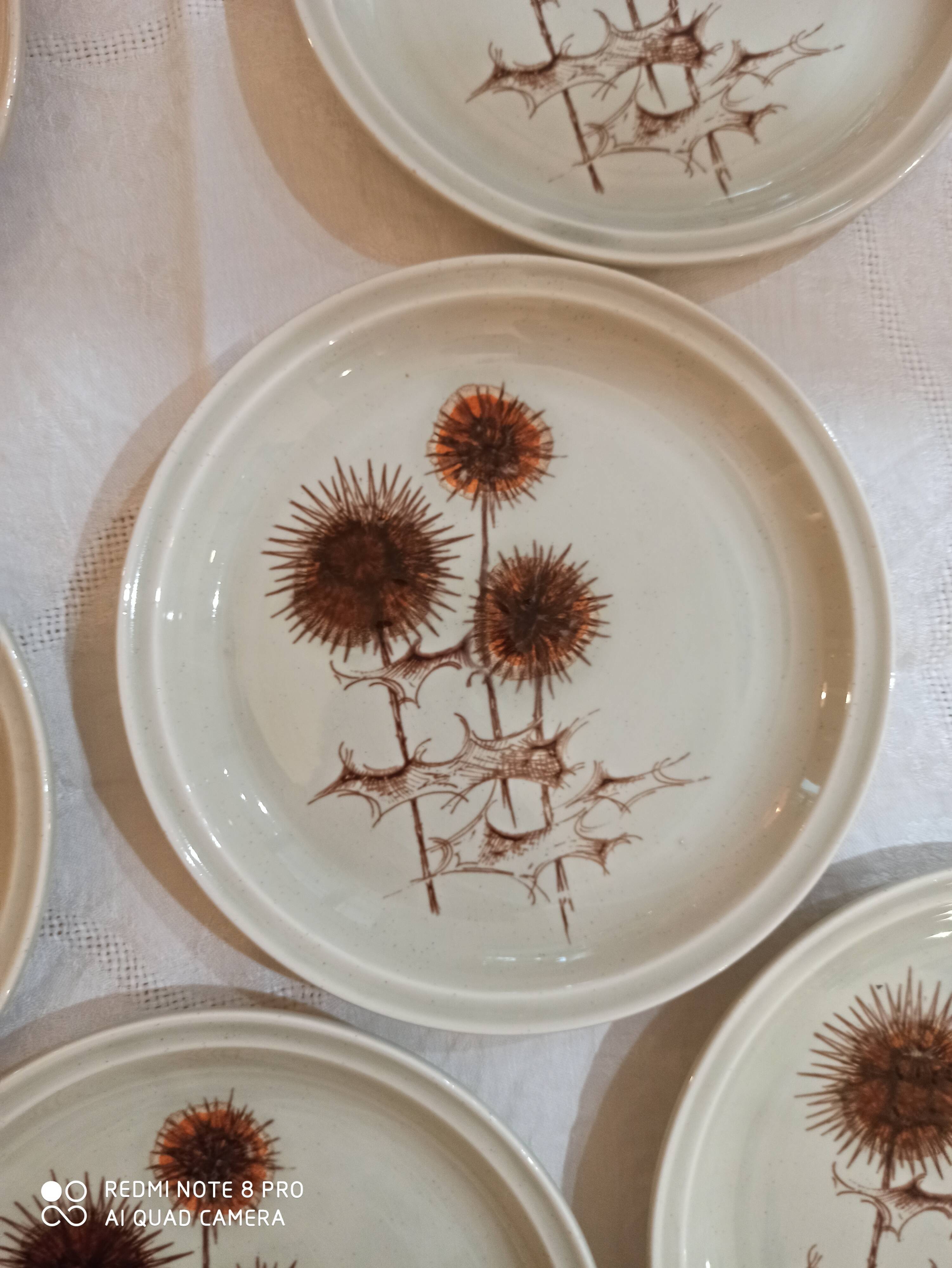 Vintage flat plates