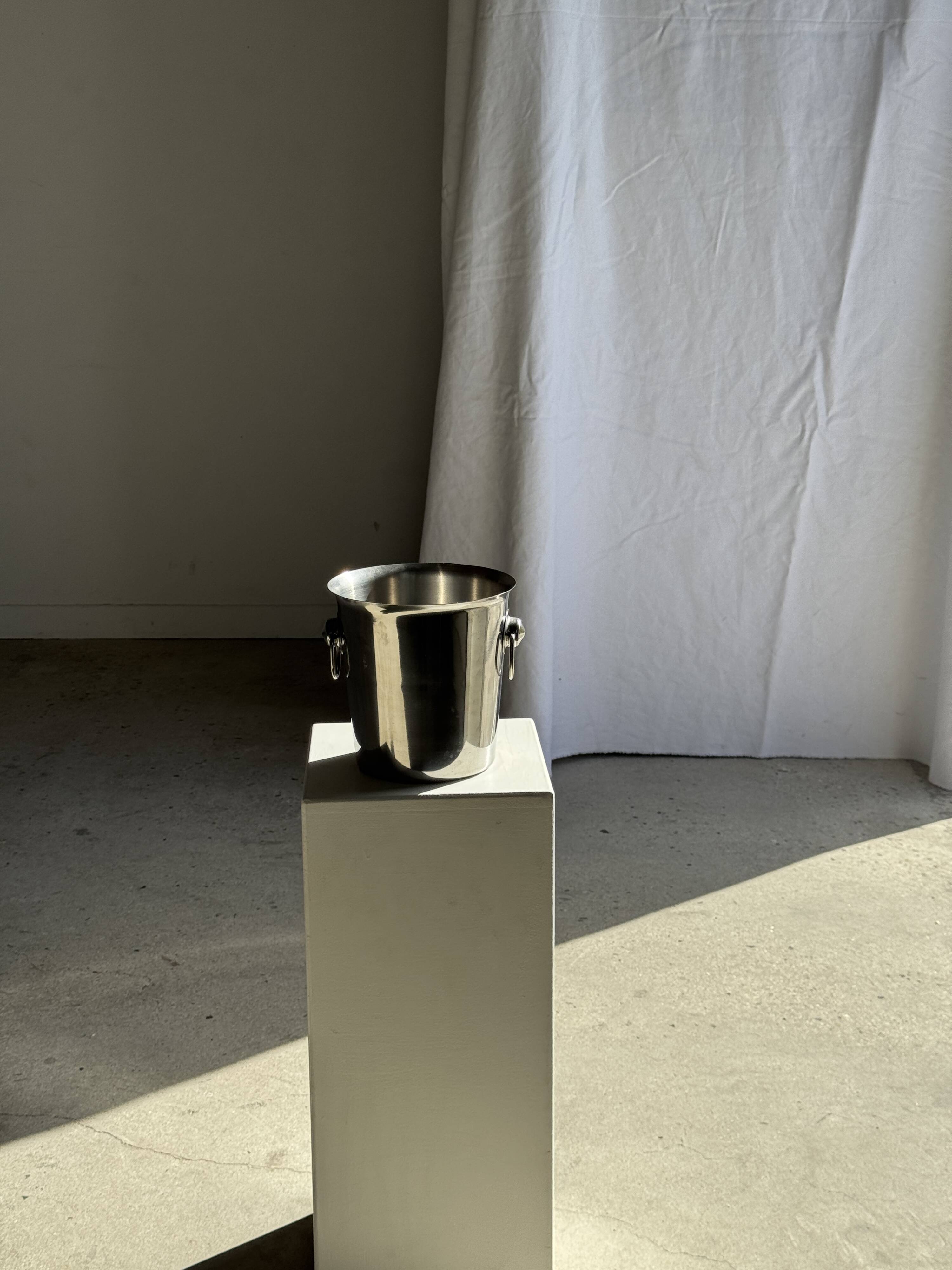 Stainless steel champagne and wine bucket with handle D19 H19