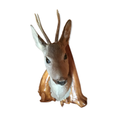 Roe deer trophy