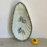 Delight the amandinoise shell