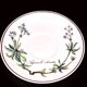Set of 6 coffee cups and saucers Villeroy & Boch, vintage, Botanica