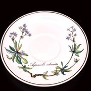 Set of 6 coffee cups and saucers Villeroy & Boch, vintage, Botanica