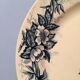 Suite de 12 assiettes plates Terre de fer