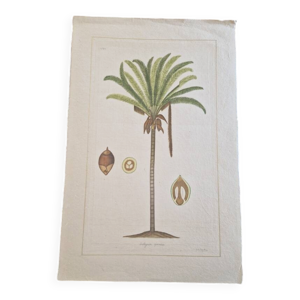 Dessin à l'aquarelle - soie