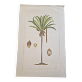 La Roche Laffitte (Born in 1943) - Watercolour drawing on silk - Palm tree