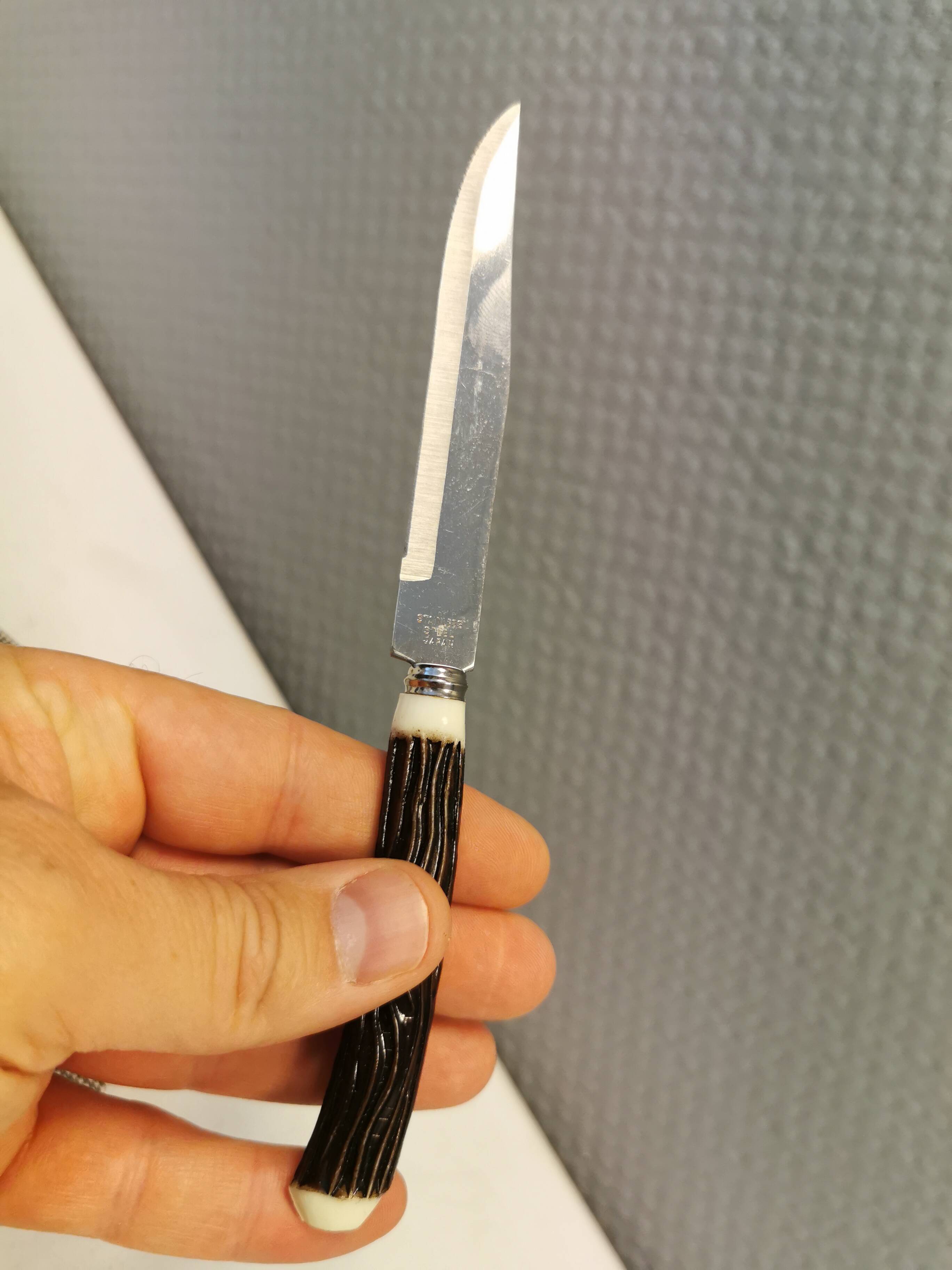 Six delicious stainless steel steak knives with bone handles, from Japan