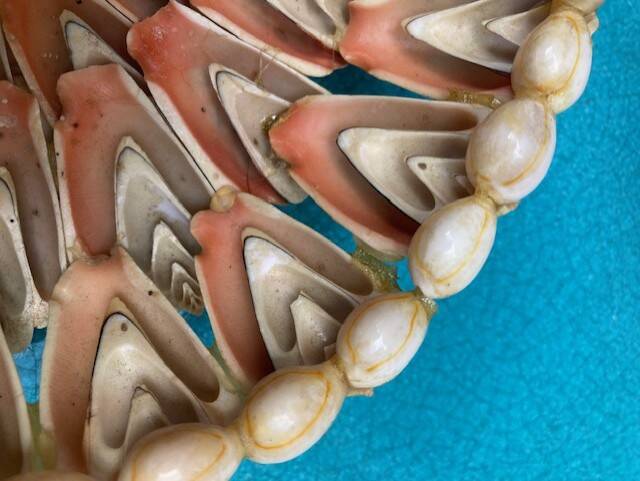 Shell bowl from the 1960s.
