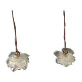 Pair of flower hanging in glass paste