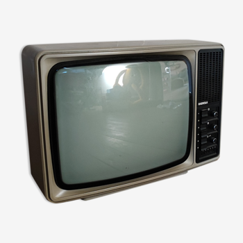 Vintage Radiola TV