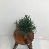 Wooden stool tripod foot