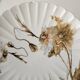 Haviland service, plates, pedestal dishes and soup tureen.