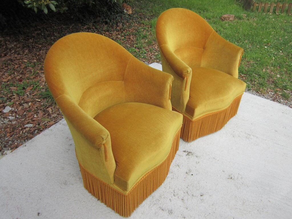 Pair of armchairs velvet Toad