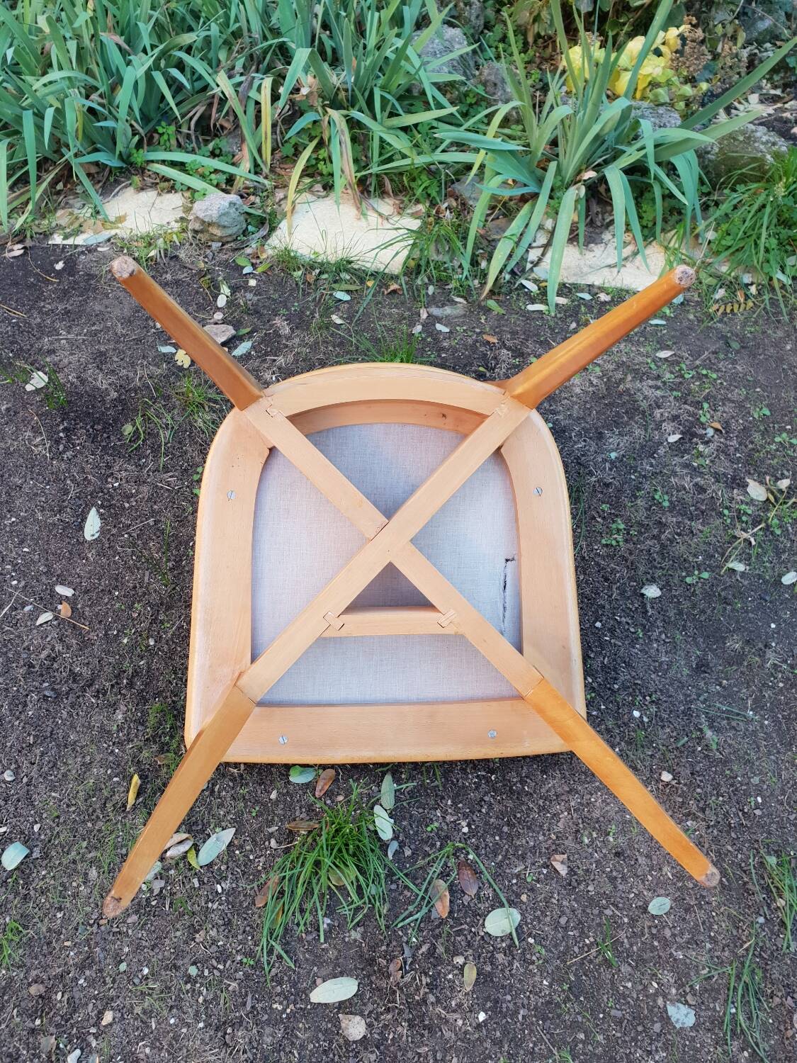 Series of 4 chairs 1950