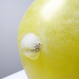 Murano baluster vase, yellow, frosted glass in Seguso style, vintage 1960.