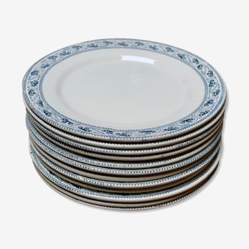 Set of 12 plates